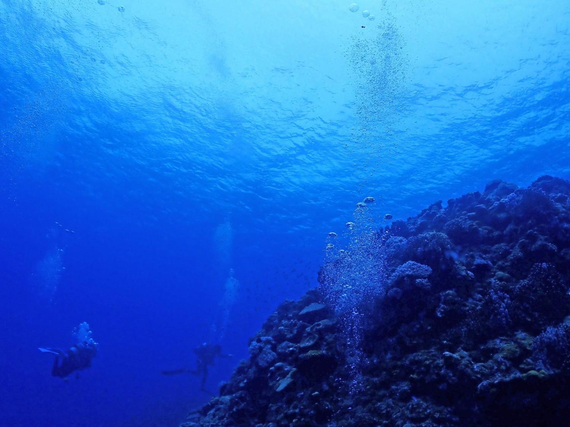 石垣島グループの宿 2216 にじいろ ユーグレナモール内 Ishigaki  Luaran gambar